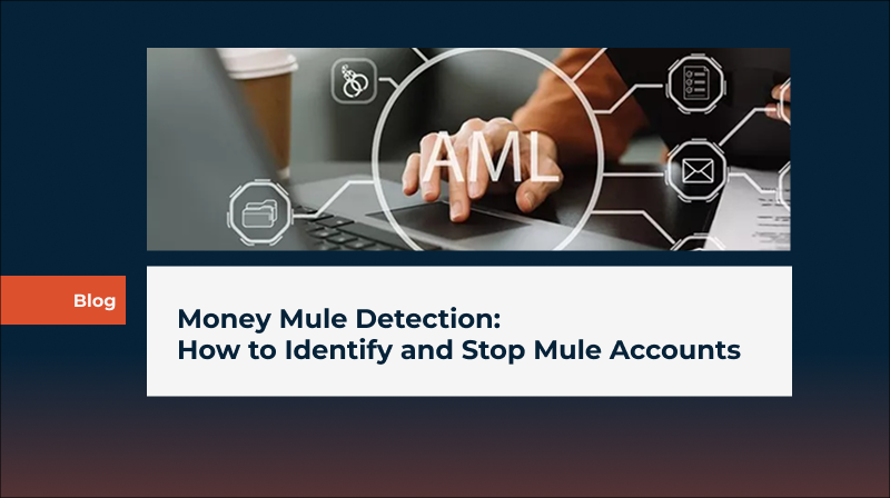 Money Mule Detection: How to Identify and Stop Mule Accounts