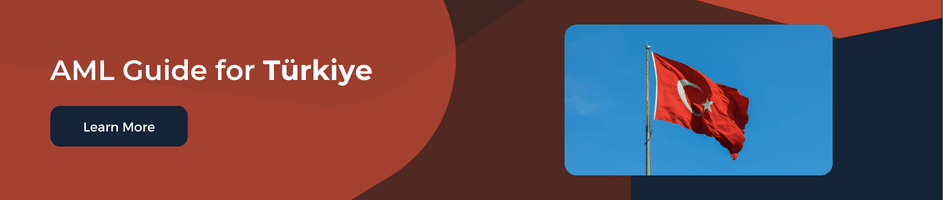 Guide for Anti-Money Laundering Regulations and Authorities in Turkey